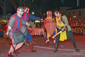 Spectacle 2018 Christian Nicot (14)